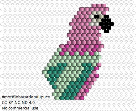 diagramme_perroquet_boucle_d_oreille