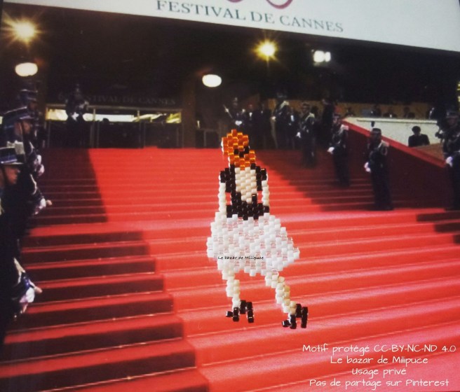 cannes le bazar de Milipuce