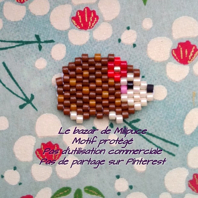 IMG_20180310_182347_459