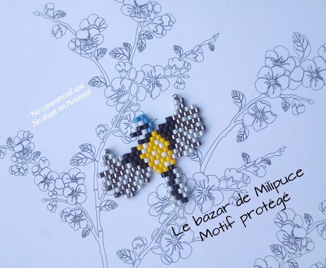 IMG_20180311_172414_309