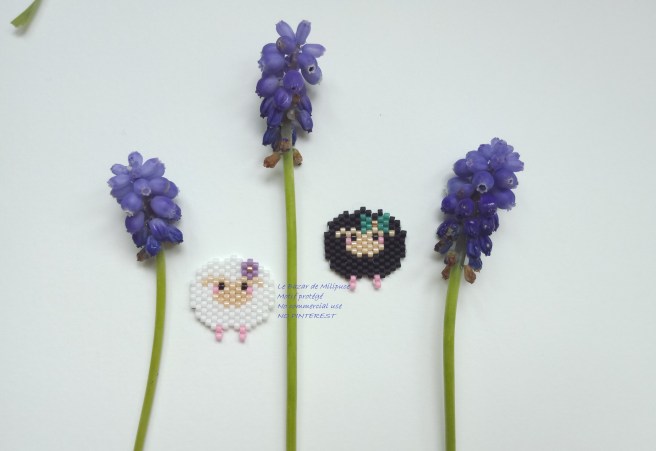 MOUTONS LE BAZAR DE MILIPUCE