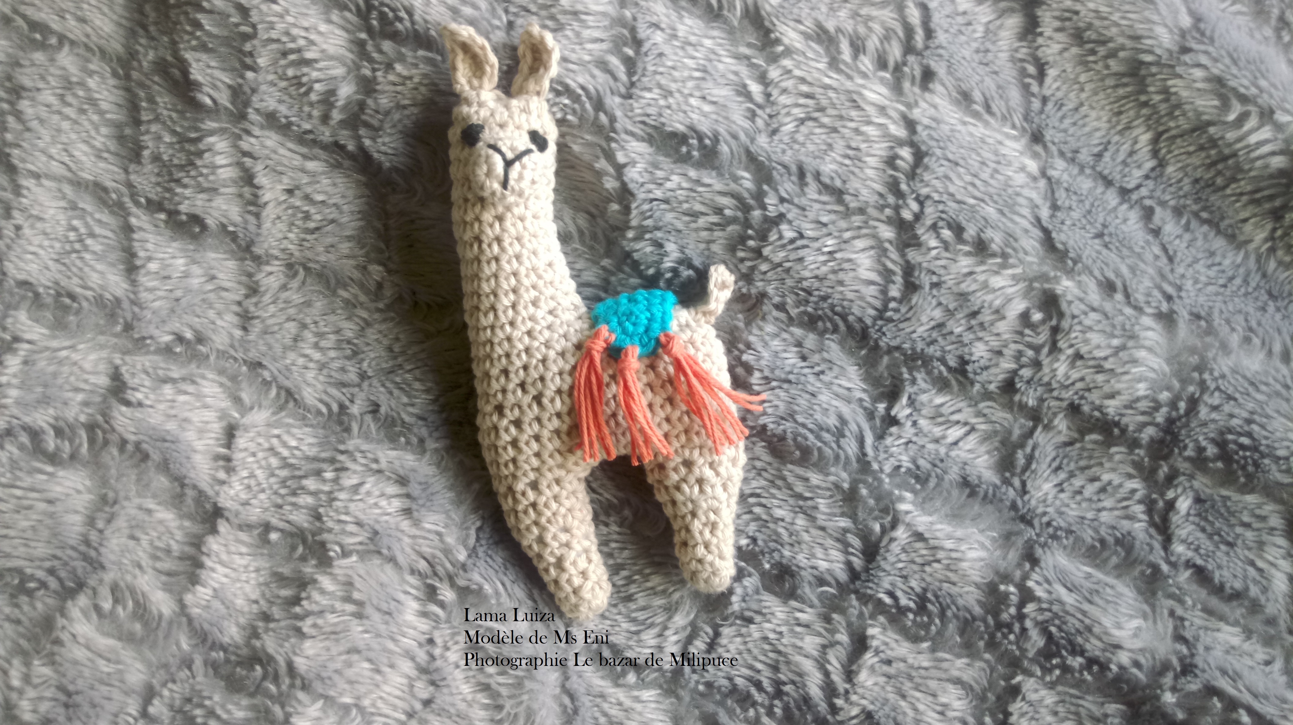 lama luiza ms eni le bazar de milipuce