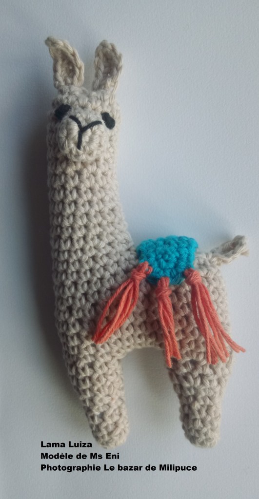 lama ms eni le bazar de milipuce