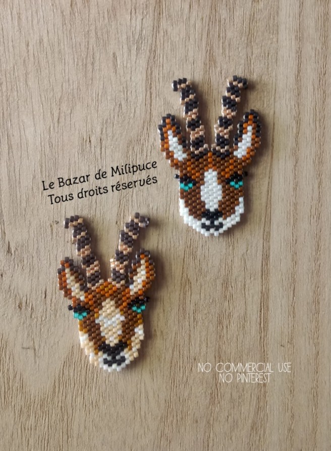 le bazar de milipuce chamois en folie