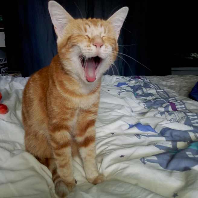 IMG_20180909_184956_326